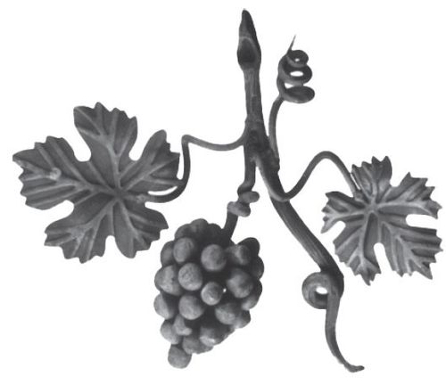 Ramo uva - hierro