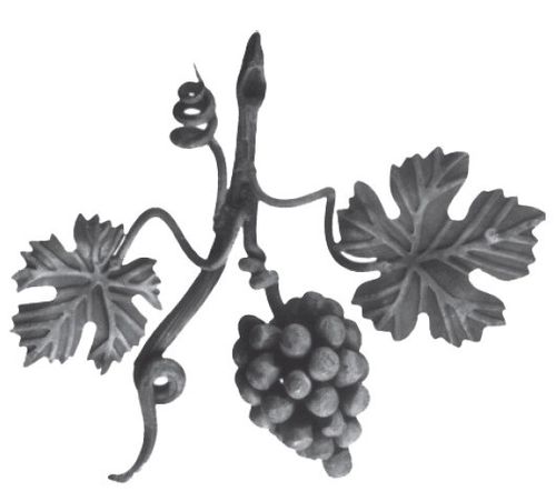 Ramo uva - hierro